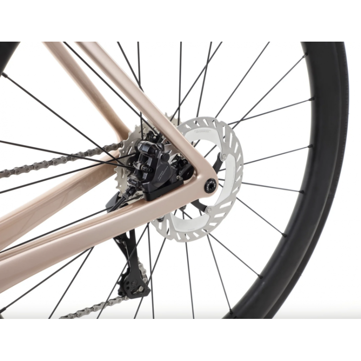 Haro bikes vélo route Rivette Carbon 1 Gloss Rose / Gold