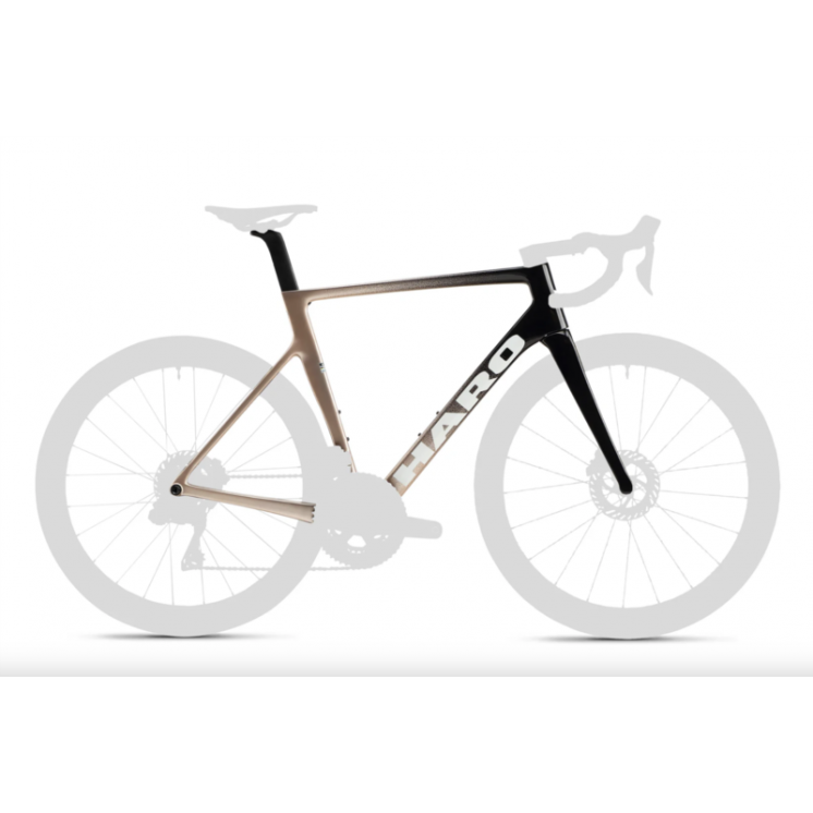 Haro bikes kit cadre vélo route Rivette Carbon Gloss Rose / Gold