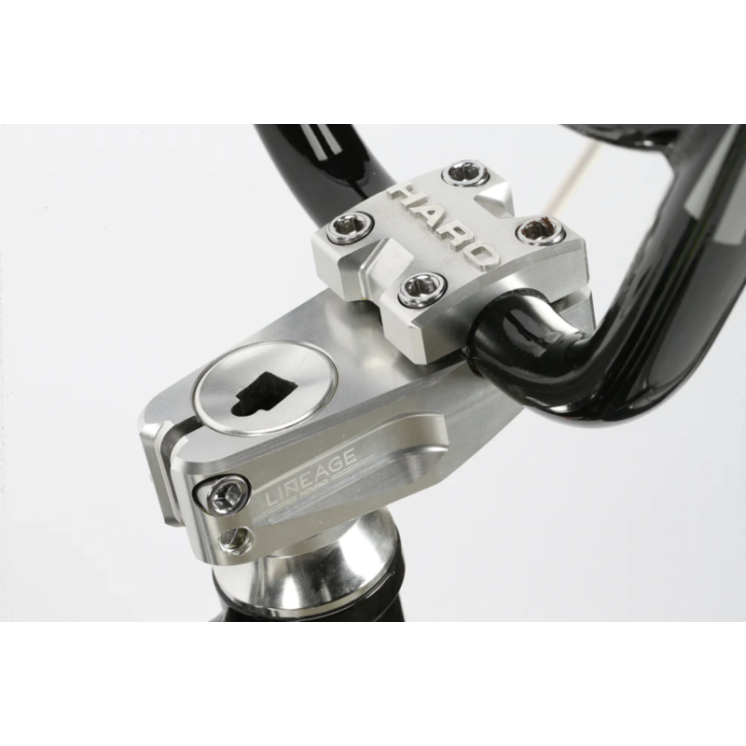 HARO Bikes BMX Cruiser Master DMC