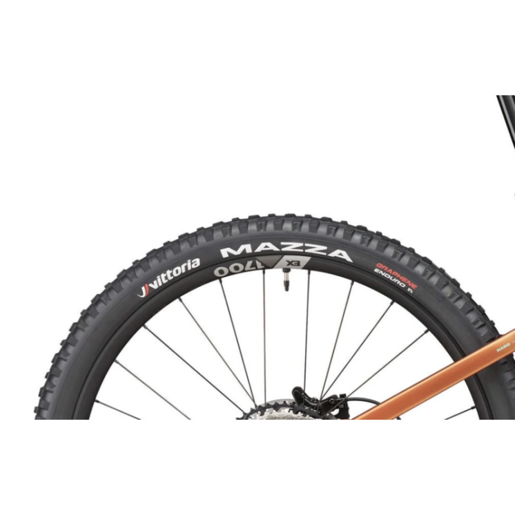 HARO Bikes VTT Trail Daley Carbon 2 matte copper black